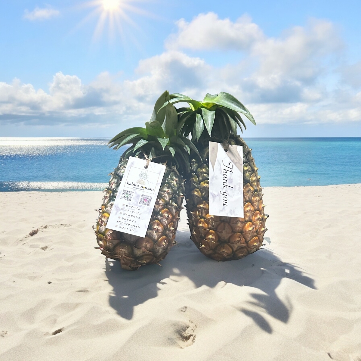 完売！！【石垣島産】極上パイナップル | エコチョク